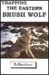 Eastern Brush Wolf