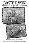 Coyote Trapping
